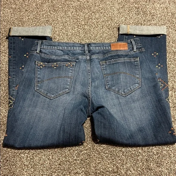 DRIFTWOOD TAYLOR embellished jeans - Picture 2 of 6